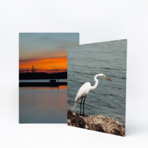 Metal Print